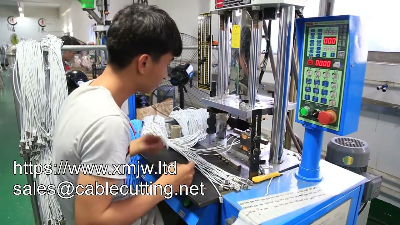 Automatic Vertical Plastic Injection Machine for Micro USB Type-C Cable
